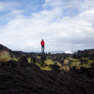 Afbeelding voor Pico