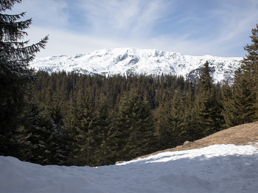 Natuur in Méribel