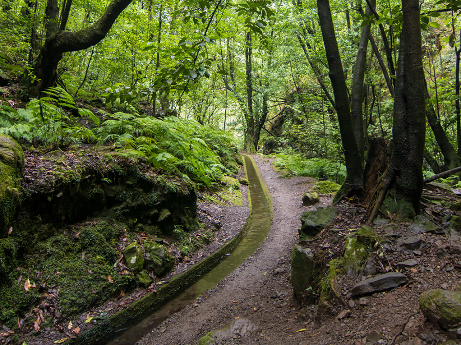 Levada Madeira