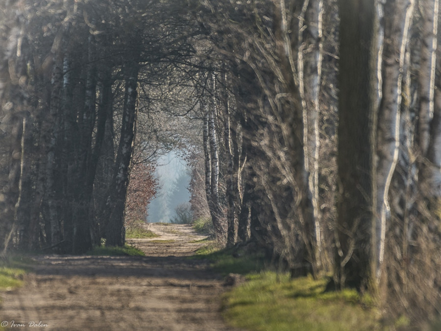 Natuur rond Turnhout