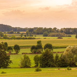 Afbeelding voor Natuur in Limburg