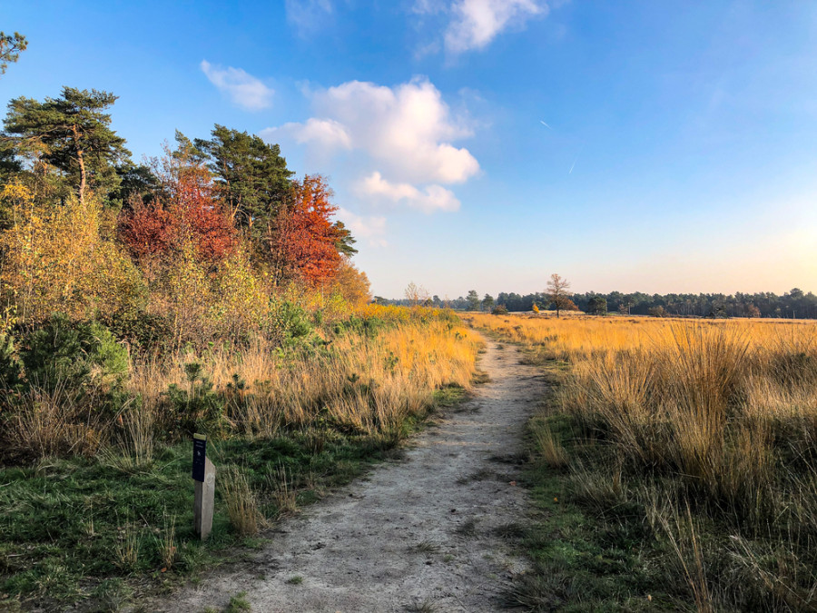 Wandelen Loonse en Drunense Duinen