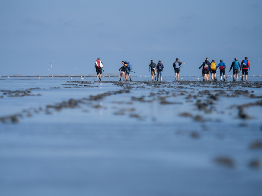 Wadlopen Duitsland