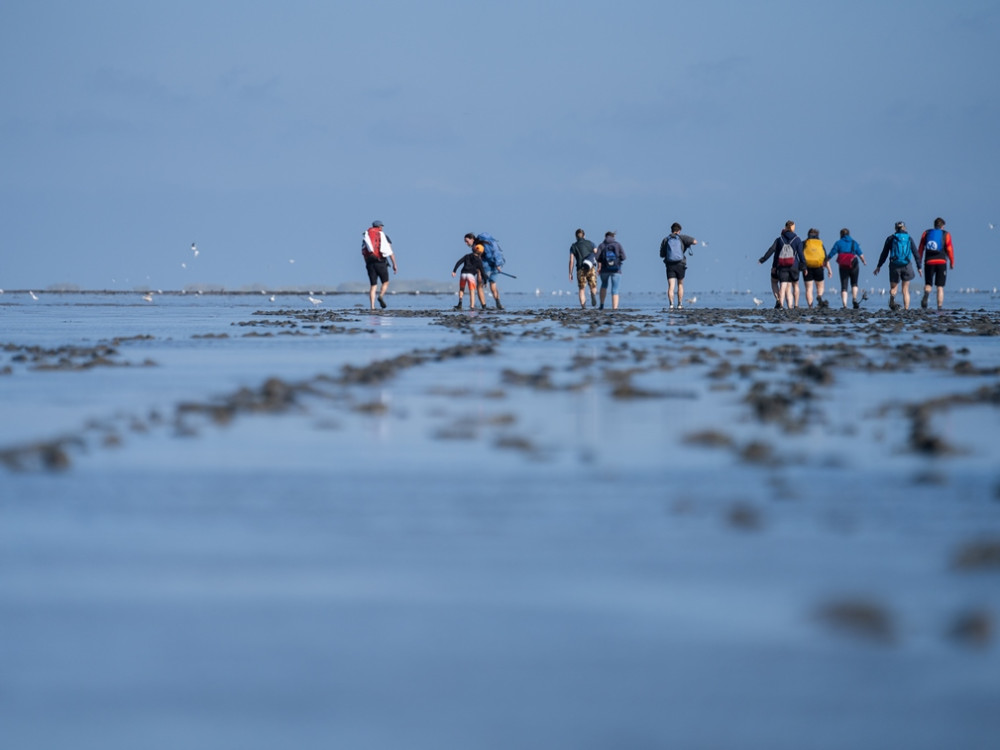 Wadlopen