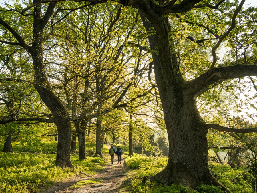 Wandelaars Totengrund