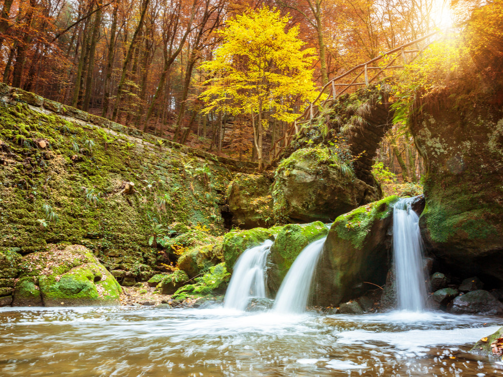 Natuur in Luxemburg