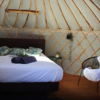 Afbeelding voor Booking.com - Yurt