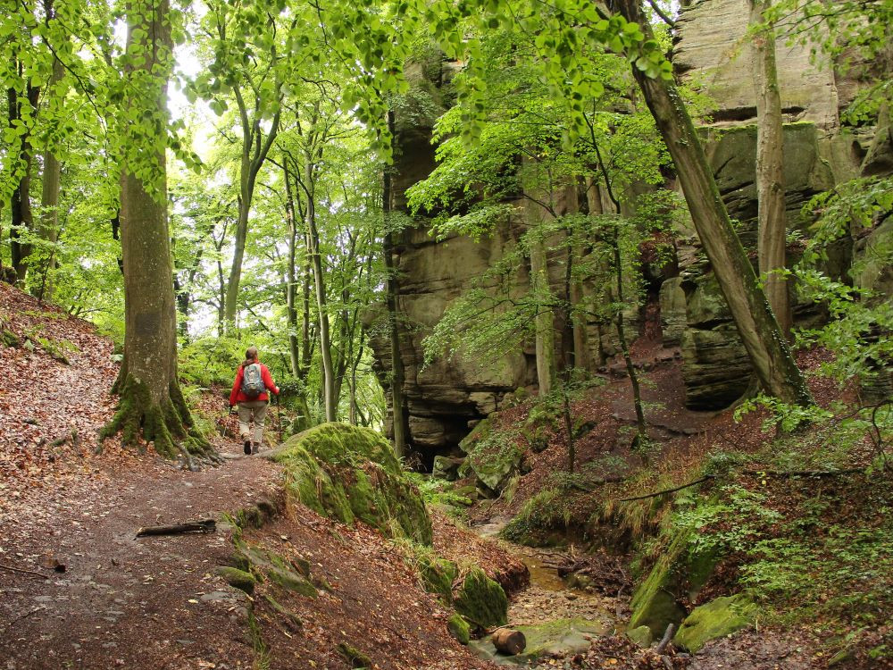 Natuur in Luxemburg