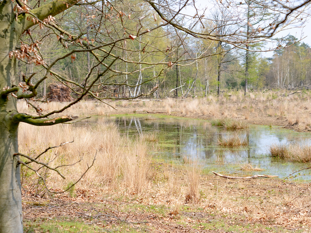 Het oergebied van Brabant