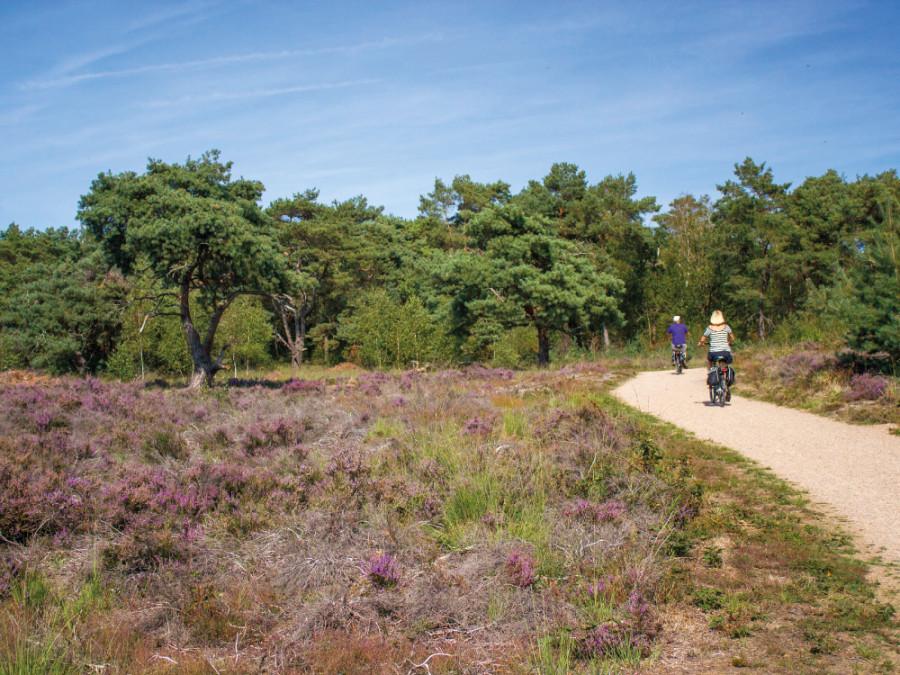 Fietsen Maasduinen