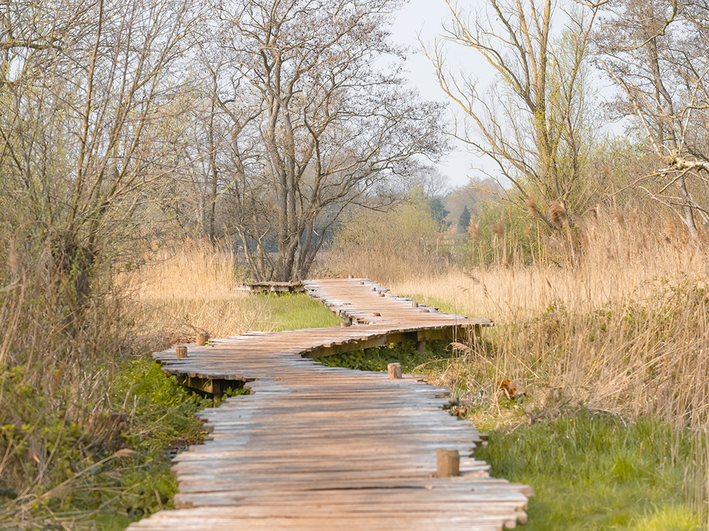 Wandelen over de wijst