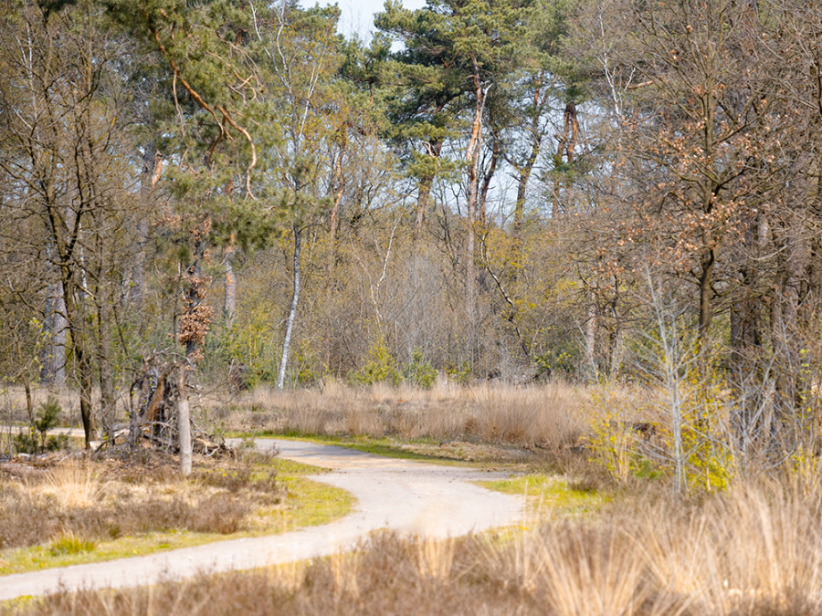 Natuurbegraafplaats Maashorst