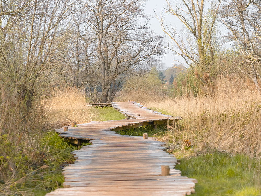 Mooie knuppelbrug