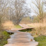Afbeelding voor Wandelen in Brabant
