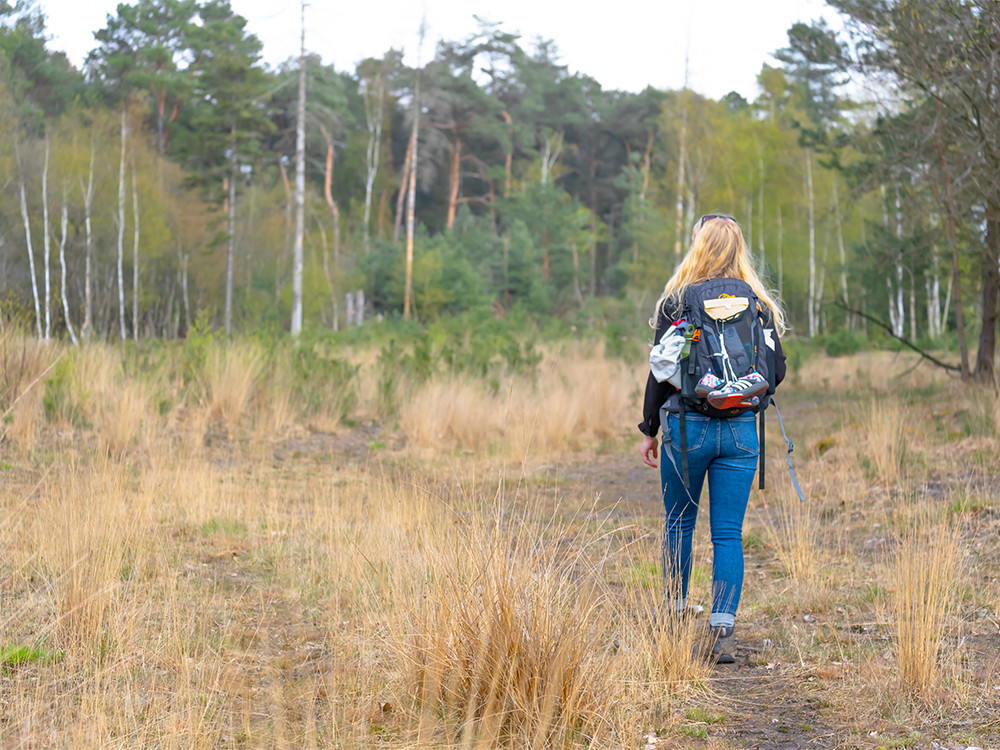 Wandelen Maashorst