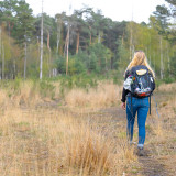 Afbeelding voor Wandelen in de Maashorst