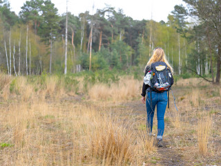 Afbeelding voor Wandelen in de Maashorst