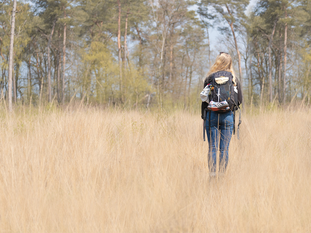 Wandelroutes Maashorst