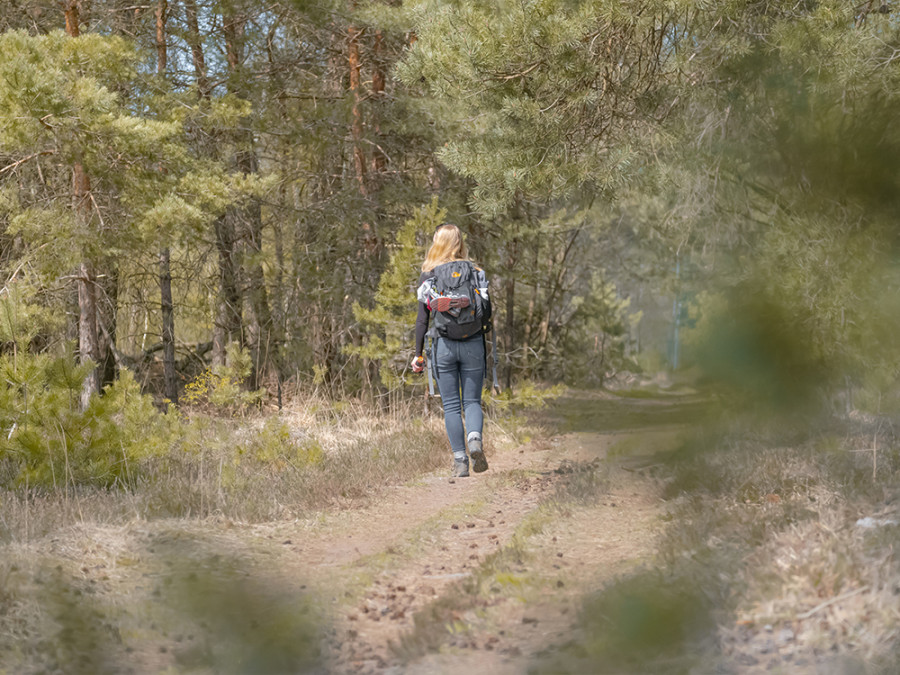 3-daagse IVN trektocht Maashorst