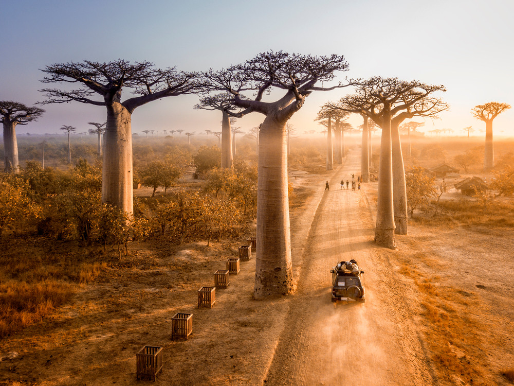 Madagaskar Natuurreis Mooiste Gebieden Voor Een Vakantie