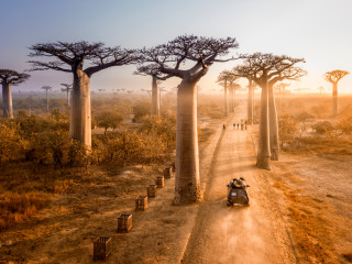 Afbeelding voor Madagaskar