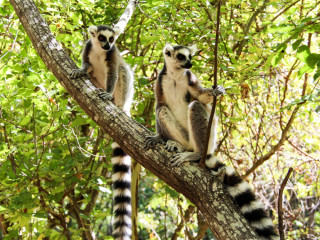 Afbeelding voor Isalo National Park