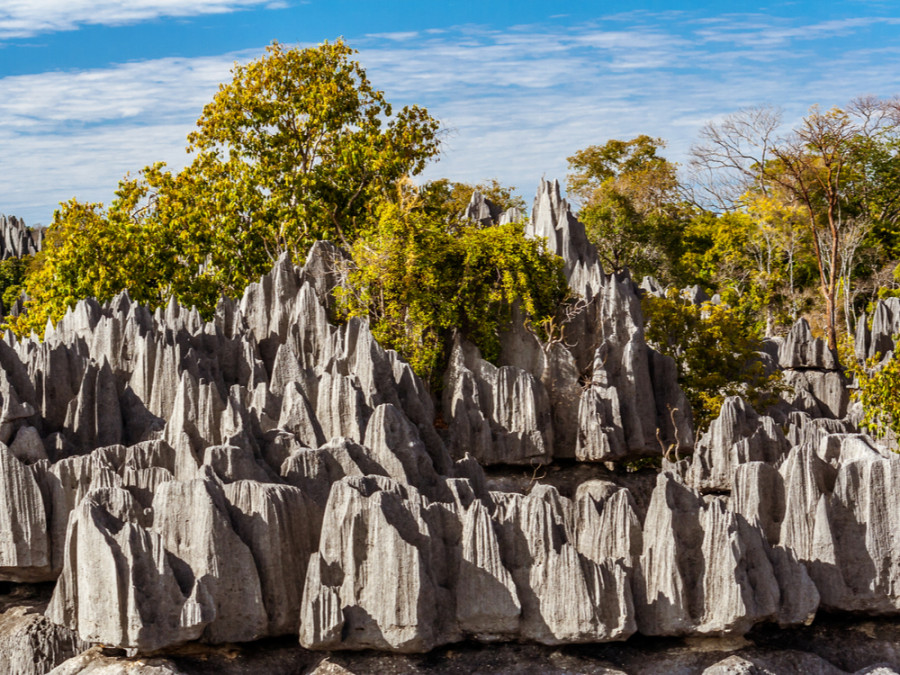 Tsingy NP Madagaskar
