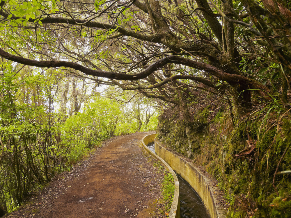 Levada