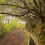 Afbeelding voor Wandelen op Madeira