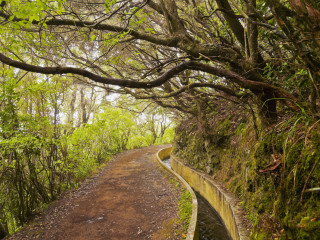 Afbeelding voor Wandelen op Madeira