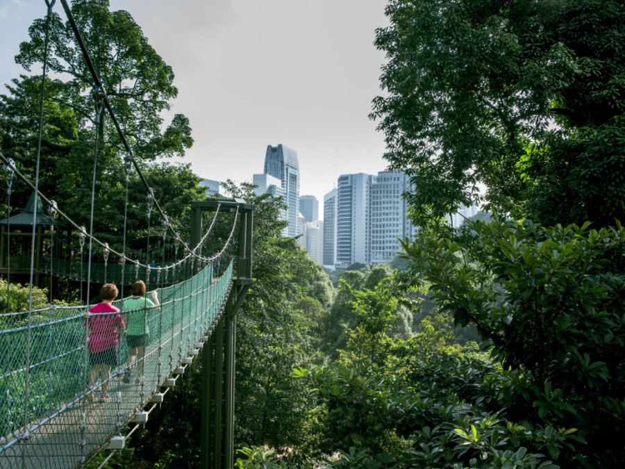 Bukit Nanas Kuala Lumpur