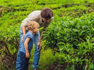 Afbeelding voor Reizen met kinderen in Maleisie