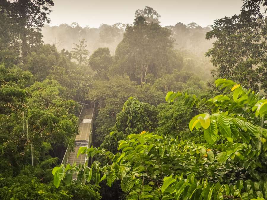 Taman Negara