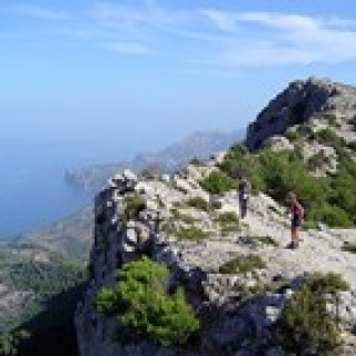 Afbeelding voor SNP - Wandelen in Tramuntana