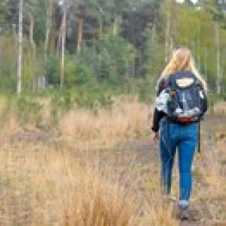 Afbeelding voor Avontuur Dichtbij - Wandelarrangementen