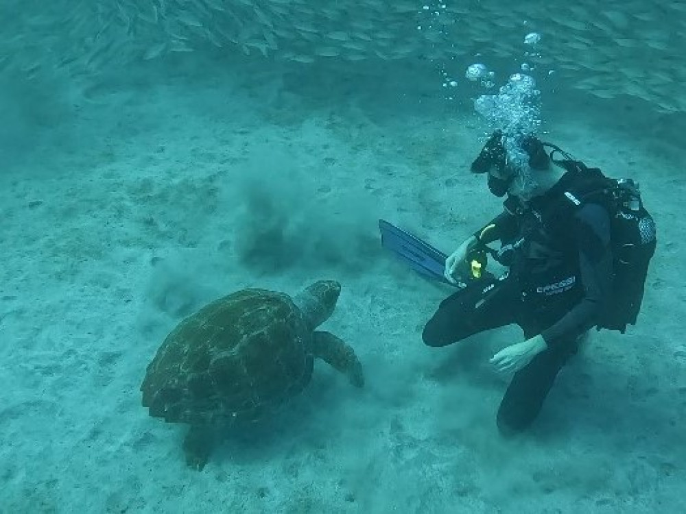 Ontmoeting met zeeschildpad