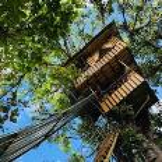 Afbeelding voor Booking.com - El Eden Treehouse