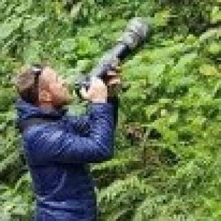 Afbeelding voor MiraMundo Travel - Vogelreis Colombia