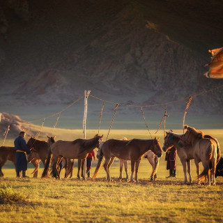 Afbeelding voor Get Your Guide - Dagexcursies paardrijden