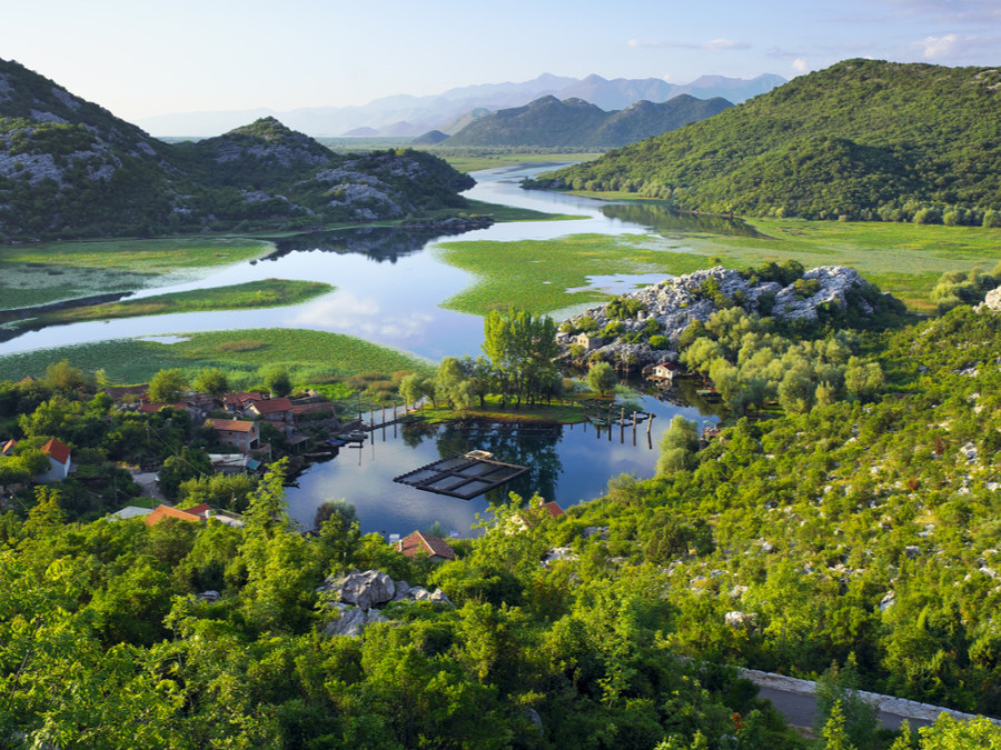 Vogels kijken Lake Skadar