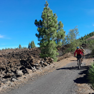 Afbeelding voor Fietsen op Tenerife