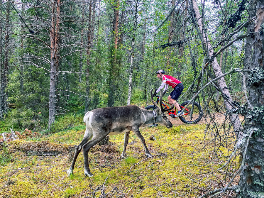 Fietsen in Salla