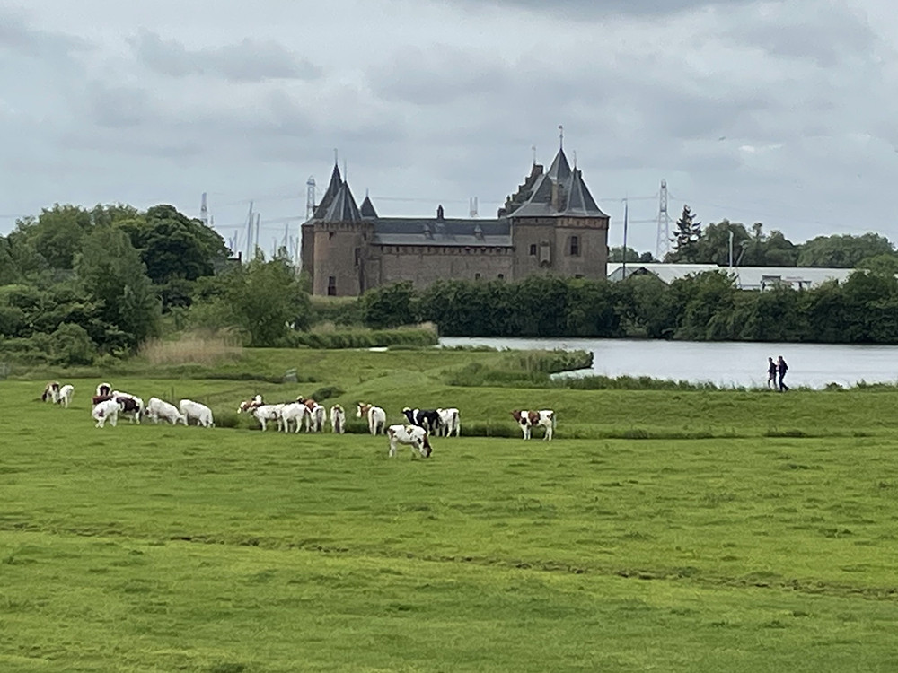 Muiderslot