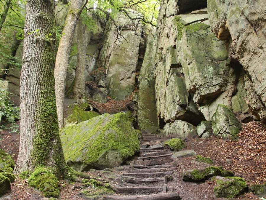 Natuur in Luxemburg - Mullerthal