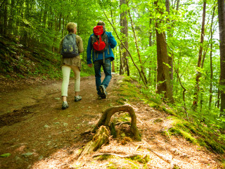 Afbeelding voor Wandelen bij de Bergische Drie