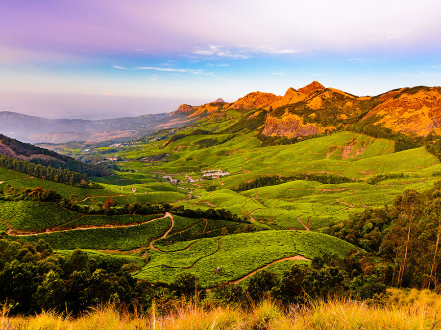 Natuur zuiden van India