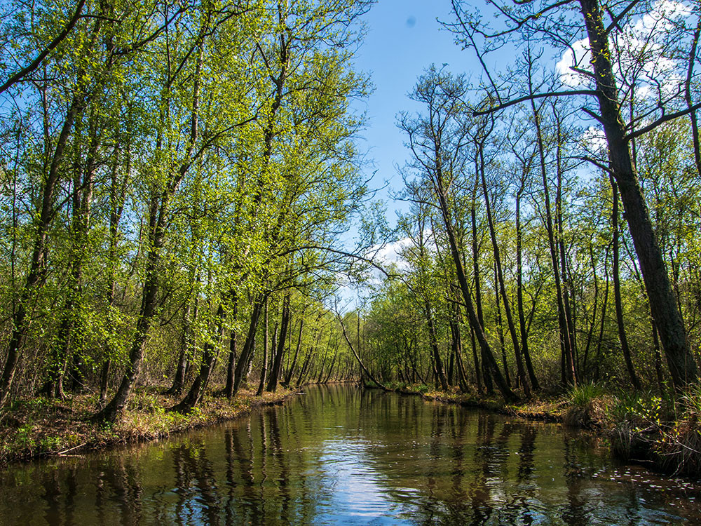 Natuur Naardermeer