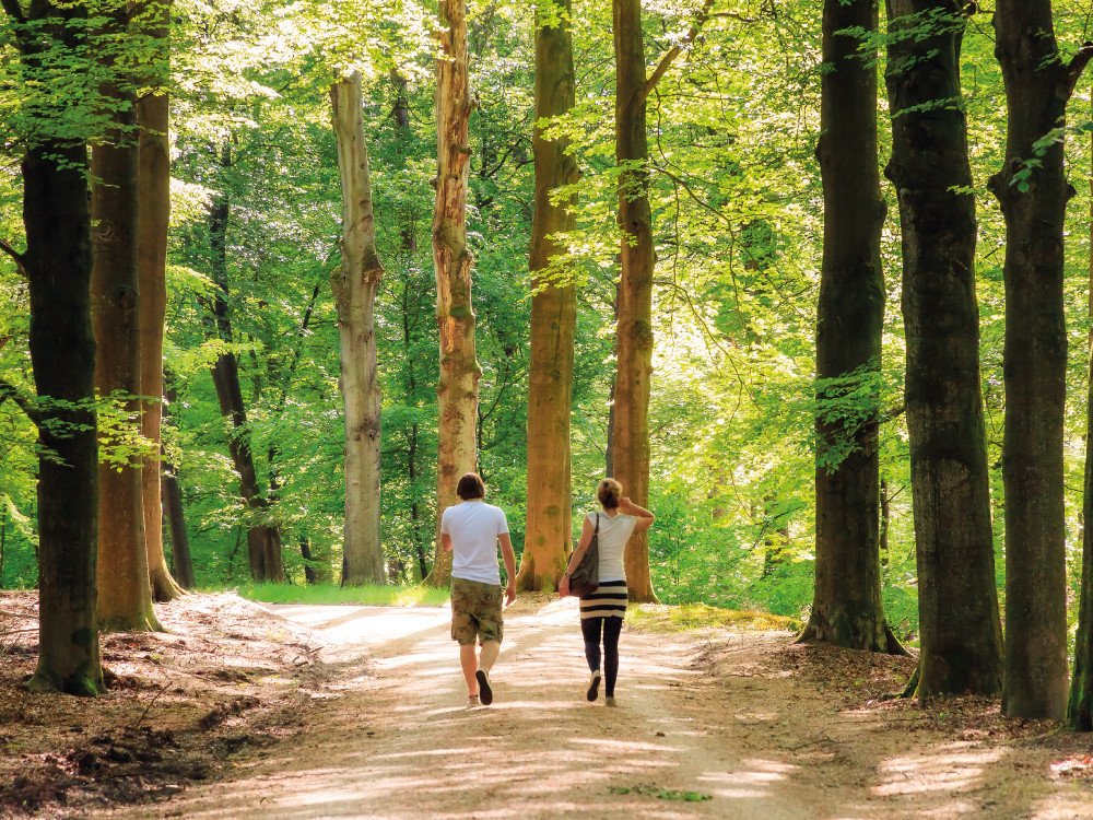 Wandelen tijdens dagje weg