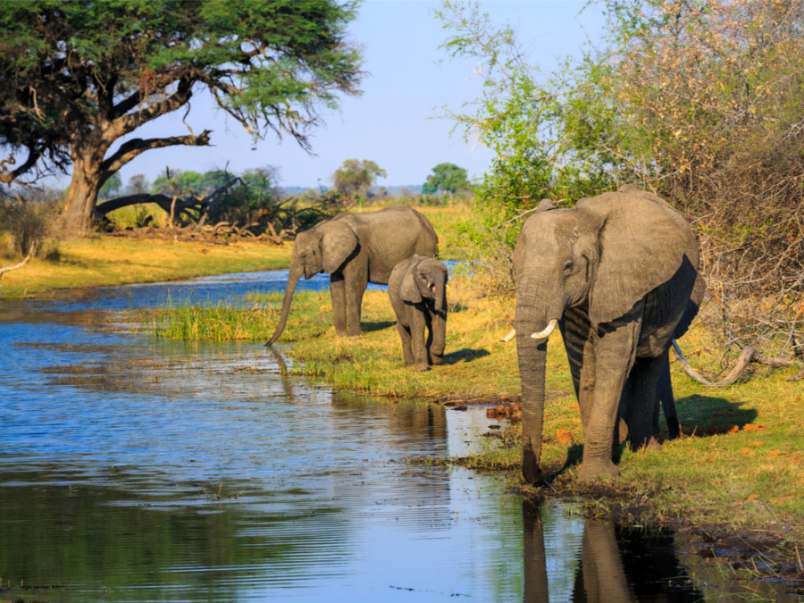 Caprivi Namibië