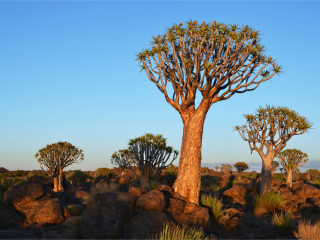 Afbeelding voor Keetmanshoop in Namibië